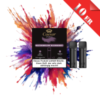 Caesar Shadow Pods Watermelon Blueberry 2x2ml Nikoton...