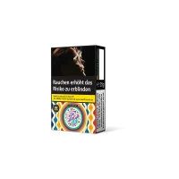 Holster Grape Mint 2.0 25g